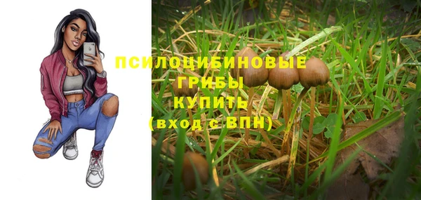 первитин Лабытнанги