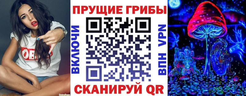 Галлюциногенные грибы MAGIC MUSHROOMS  Кремёнки 